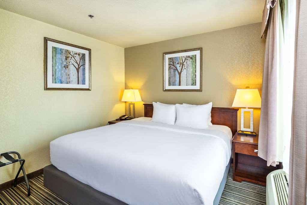 Quality Inn & Suites Yorkton Værelse billede
